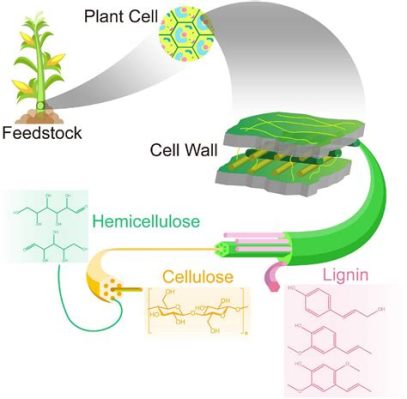  Lignocellulosic Biomass: A Sustainable Solution for Biofuels and Advanced Materials?