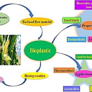 Wheat Bran: Exploring Its Applications in Bioplastics and Animal Feed!