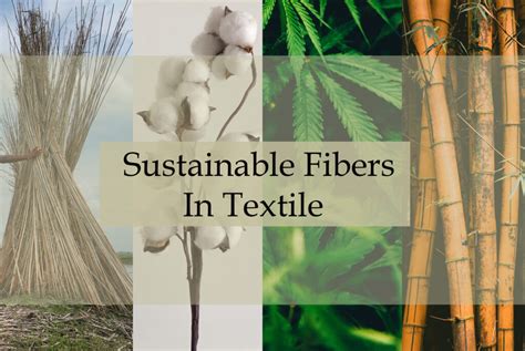  Bamboo Fiber: Unlocking Sustainability and Strength for Textile Innovation!