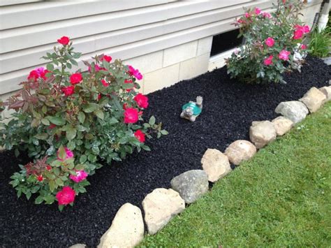 Can I Plant Flowers in Mulch? Exploring the Unlikely Connection Between Mulch and Moonlight