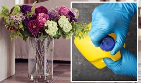 Does Bleach Make Flowers Last Longer? Exploring the Myth and the Science