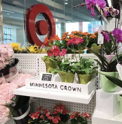 Does Target Have Fresh Flowers? Exploring the Blossoming Aisles of Retail Therapy