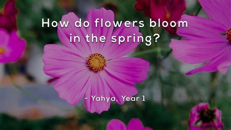 How Do Flowers Bloom in the Spring, and Why Do They Whisper Secrets to the Moon?