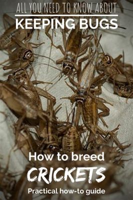 Is Breeding Crickets Worth It? Exploring the Buzz Around Insect Farming