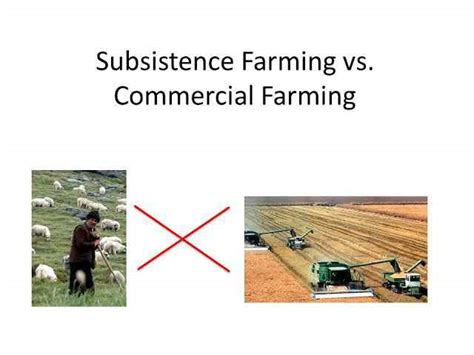 Is Livestock Ranching Commercial or Subsistence: A Multifaceted Exploration