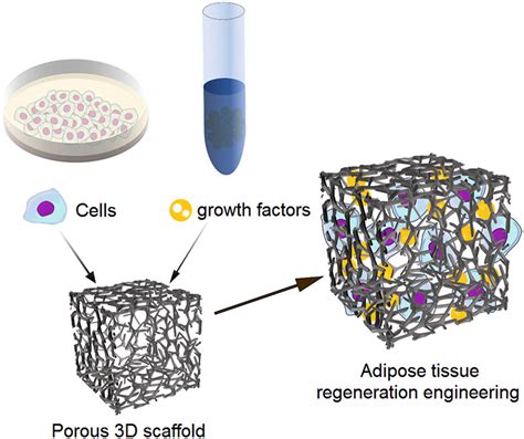  Lactic Acid: A Biomaterial Powerhouse for Tissue Engineering and Drug Delivery?