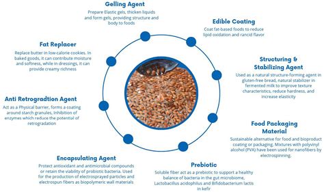 Linseed: Unveiling its Secrets for Sustainable Industrial Lubricants and Bio-Based Paints!