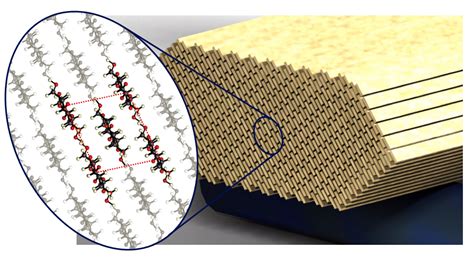  Nanocrystalline Cellulose: A Bio-Based Wonder Material for Sustainable Packaging and Biomedical Applications?