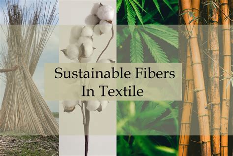 Understanding Urtica Dioica: Its Potential as a Sustainable Textile Fiber!