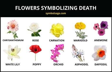 What Flowers Represent Death: A Journey Through Symbolism and Culture