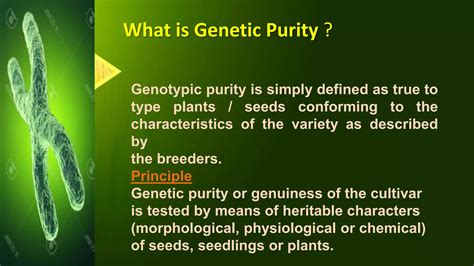 What is True Breeding? A Dive into the Genetic Purity and Its Curious Connections