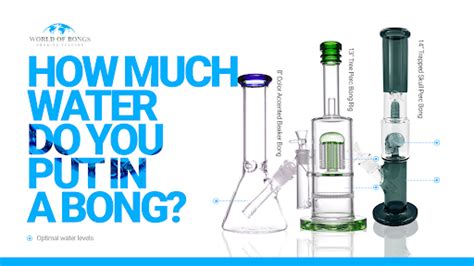 What Temperature Water Do You Put Flowers In, and Why Does It Feel Like the Ocean Is Watching?