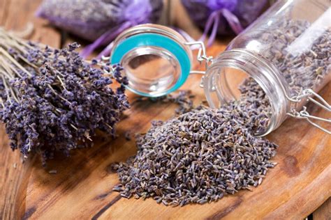 What to Do with Dried Lavender Flowers: A Journey Through Creativity and Practicality