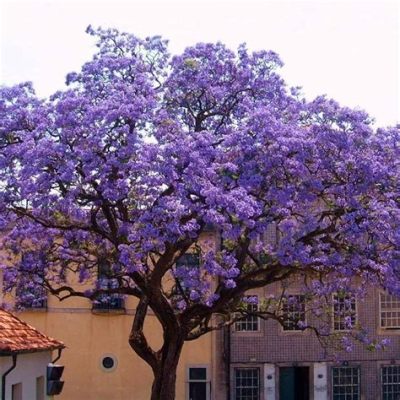 What Trees Have Purple Flowers: A Journey Through Nature's Palette and Beyond