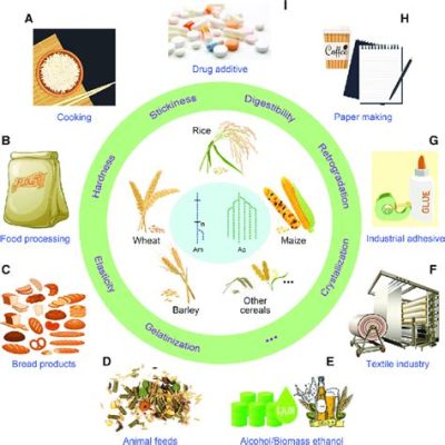 Yam Bean Starch: Examining Its Unique Properties for Food and Industrial Applications!